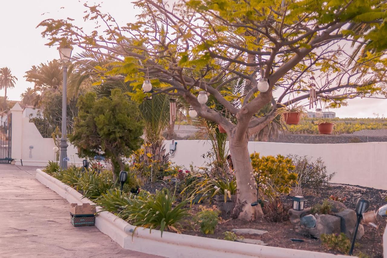 Finca Los Angeles Трапиче Экстерьер фото